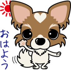 Papillon dog "Rook" sticker #5877712