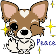 Papillon dog "Rook" sticker #5877714