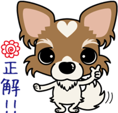 Papillon dog "Rook" sticker #5877719