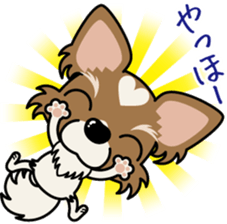 Papillon dog "Rook" sticker #5877722