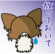 Papillon dog "Rook" sticker #5877726