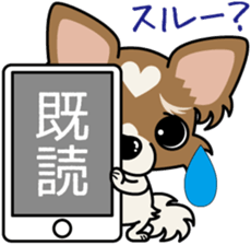 Papillon dog "Rook" sticker #5877734