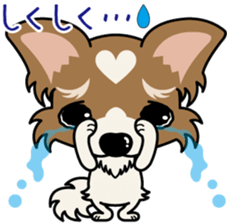 Papillon dog "Rook" sticker #5877742