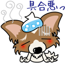 Papillon dog "Rook" sticker #5877745