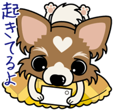 Papillon dog "Rook" sticker #5877748