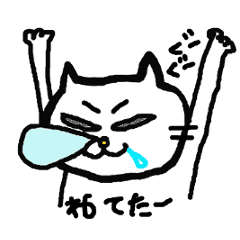 feelings of the cats