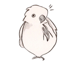 white parrot sticker #5878152