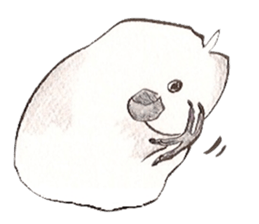 white parrot sticker #5878157