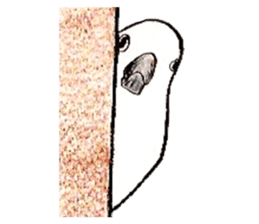 white parrot sticker #5878159