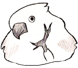 white parrot sticker #5878162