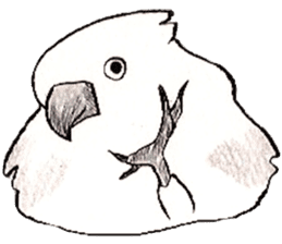 white parrot sticker #5878162
