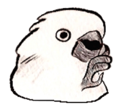 white parrot sticker #5878167