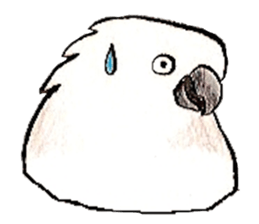 white parrot sticker #5878169