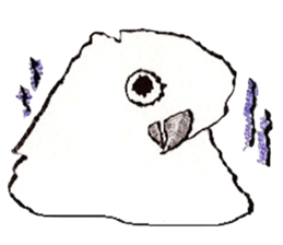 white parrot sticker #5878171