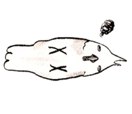 white parrot sticker #5878173