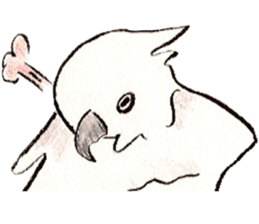 white parrot sticker #5878176