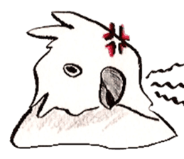 white parrot sticker #5878177