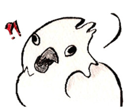 white parrot sticker #5878178