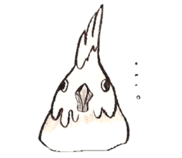 white parrot sticker #5878179