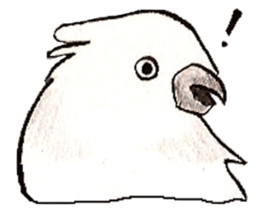 white parrot sticker #5878183