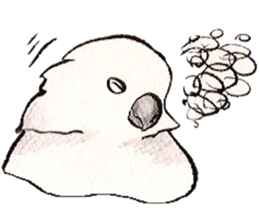 white parrot sticker #5878189