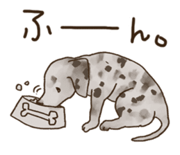 Cute Cats & Dogs Stickers sticker #5879902