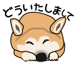 Shibatchi sticker #5880846