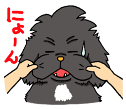 Kansai dialect Pekingese 2 sticker #5880914