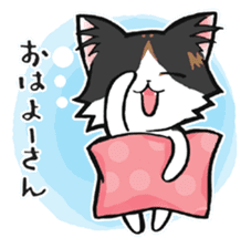 KANSAI- dialect CATS sticker #5885472