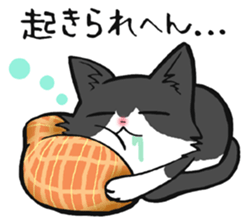 KANSAI- dialect CATS sticker #5885474