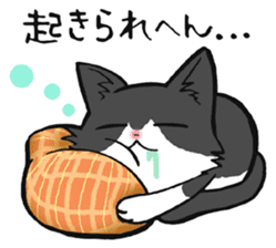 KANSAI- dialect CATS sticker #5885474