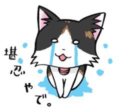 KANSAI- dialect CATS sticker #5885476