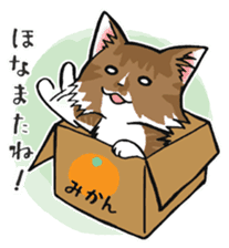 KANSAI- dialect CATS sticker #5885480