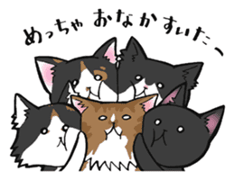 KANSAI- dialect CATS sticker #5885481