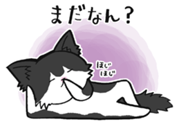 KANSAI- dialect CATS sticker #5885488