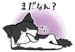 KANSAI- dialect CATS sticker #5885488