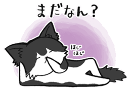 KANSAI- dialect CATS sticker #5885488