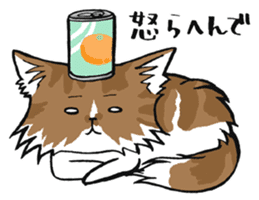 KANSAI- dialect CATS sticker #5885490