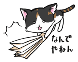 KANSAI- dialect CATS sticker #5885491