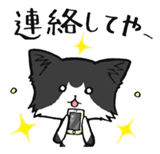 KANSAI- dialect CATS sticker #5885492