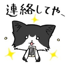 KANSAI- dialect CATS sticker #5885492