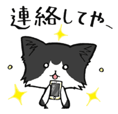 KANSAI- dialect CATS sticker #5885492