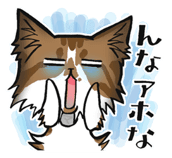 KANSAI- dialect CATS sticker #5885497