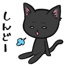 KANSAI- dialect CATS sticker #5885500
