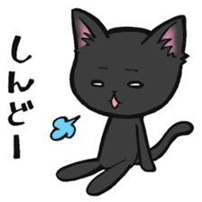 KANSAI- dialect CATS sticker #5885500