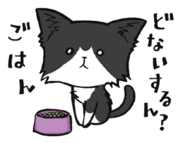 KANSAI- dialect CATS sticker #5885502