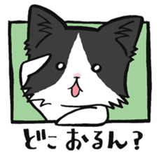 KANSAI- dialect CATS sticker #5885503