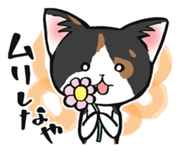 KANSAI- dialect CATS sticker #5885505
