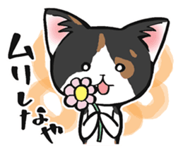 KANSAI- dialect CATS sticker #5885505