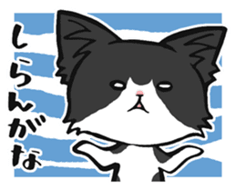 KANSAI- dialect CATS sticker #5885506